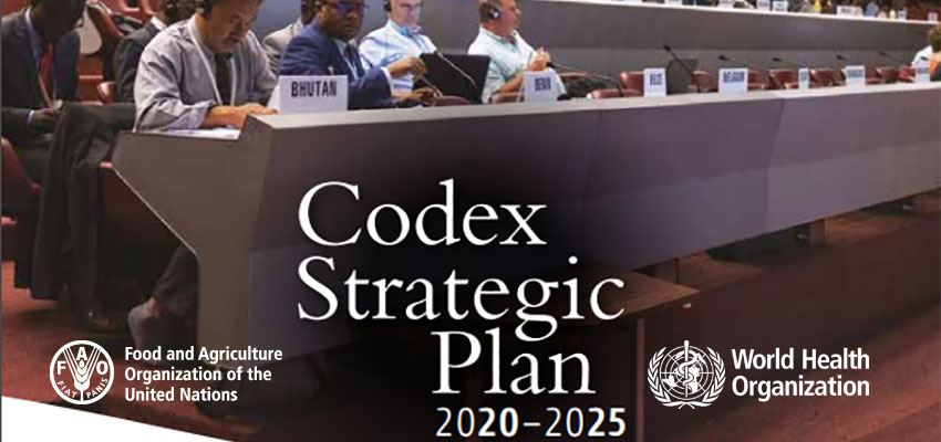 Стратешки план на Кодекс (2020 – 2025)