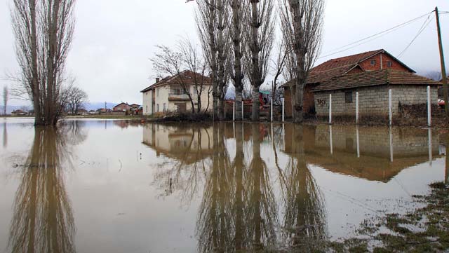 поплавена фарма