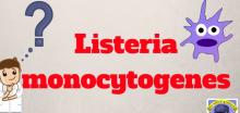 Информација за безбедно ракување и чување на храната во однос на  бактеријата Listeria monocytogenes