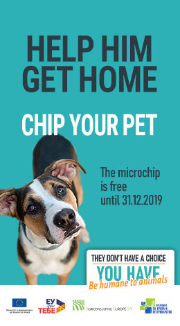 Микрочипирање на домашни миленици