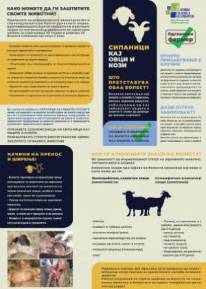 Насловна слика