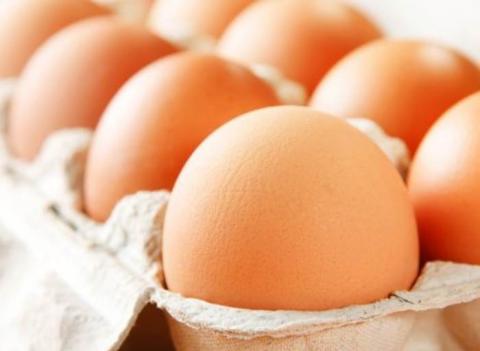 ЕУ даде дозвола за извоз на конзумни јајца од Македонија 