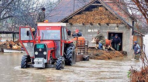 Заштитете ги и животните од поплави 