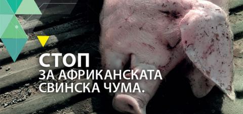 АХВ носител на националните активности на кампањата на ЕФСА за африканската чума кај свињите