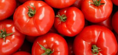 На македонскиот пазар не се увезени небезбедни домати од Република Албанија