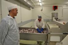 Реализиран е првиот извоз на производи од риба на европскиот пазар