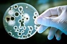 ФАО, СЗО И ОИЕ заедно ќе се борат против антимикробната резистентност 